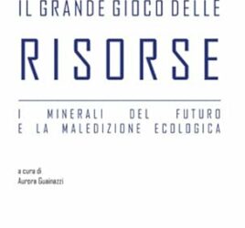 Il grande gioco delle risorse. I minerali del futuro e la maledizione ecologica Copertina flessibile – 12 gennaio 2024