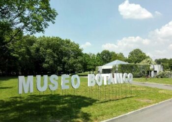 Da oggi, sabato 2 marzo, al Museo Botanico Aurelia Josz di Milano riprendono appuntamenti e visite