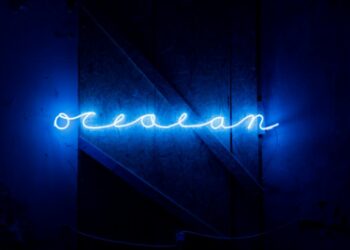La personale di David Horvitz “Abbandonare il locale” in Bicocca a Milano