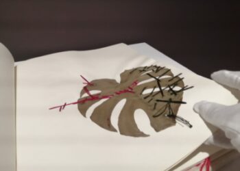 Opus Liber, una mostra sull’affascinante mondo del libro