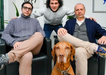 FidoCommercialista, startup che nasce per semplificare la burocrazia di partite Iva e imprenditori, chiude un round da 1,2 mln euro