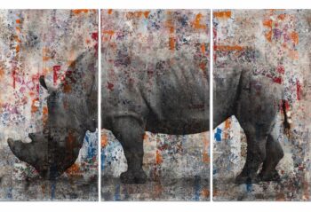 Manuel Felisi, un percorso a Roma per una lettura contemporanea della natura
