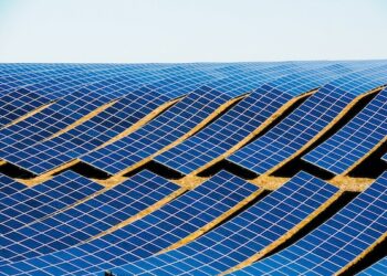 Alternative Capital Partners perfeziona jv con Solterra Brand Service Italy e investe 5,2 mln in Sb Impact