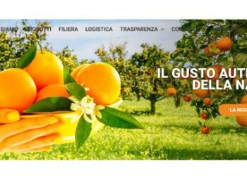 IDeA Agro (Dea Capital Alternative Funds) rileva la maggioranza di SPO Zentrum