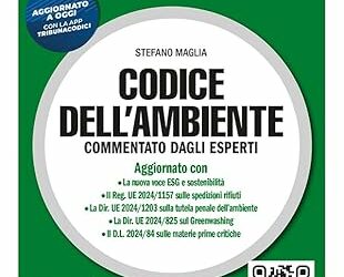 Codice dell’ambiente. Commentato 2024 Copertina flessibile – Grande libro, 31 luglio 2024