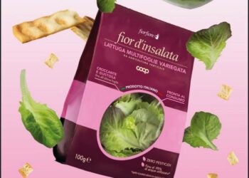 Kilometro Verde punta a crescere sia aprendo il capitale a un socio sinergico sia tramite acquisizioni. ipo se i numeri lo consentono