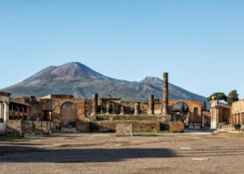 Ferragosto al museo. I numeri.