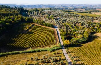 Pieve di Campoli, luogo simbolo del profondo legame con la natura della Chiesa