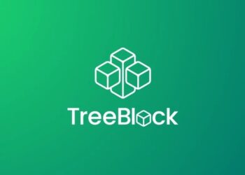 TreeBlock, startup che monitora la sostenibilità aziendale, incassa round da 500k euro