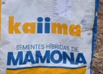 SIS (Gruppo BF) rileva per 27,2 mln euro il 69,5% della brasiliana Kaiima Sementes da private equity locali