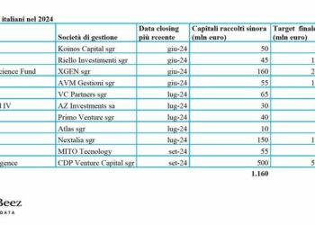 Venture capital, chi ha raccolto quest’anno in Italia e da chi