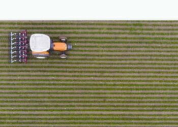 Aboca Spa Società Agricola ottiene un finanziamento di 50 mln da Intesa Sanpaolo