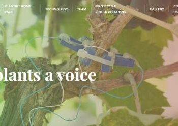 PlantBit chiude seed round da 200 mila euro guidato da Scientifica Venture Capital, per il suo biosensore che consente di ridurre lo spreco d’acqua