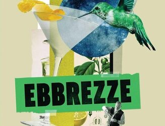 Ebbrezze. Da Noè al colibrì, da Hemingway al Martini: la bevuta che cambia la vita