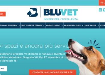 NB Aurora cede per 39,3 mln il controllo di BluVet a Ca’ Zampa (G Square Capital) e reinveste 9,3 mln in quest’ultima