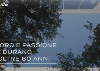 Casillo spa società benefit ottiene un finanziamento di 30mln da un pool di sei banche coordinato da Cassa Centrale Banca
