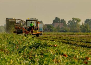 FSI firma esclusiva per acquisire la partecipazione di QuattroR in Casalasco, per circa 500 mln euro