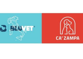 Closing definitivo della raccolta per Nextalia Capitale Rilancio a 265 mln euro, oltre il target