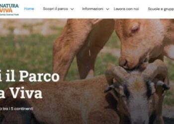 Il bioparco Zoom di Torino (Magnetar Capital) rileva dalla famiglia Avesani il Parco Natura Viva di Bussolengo