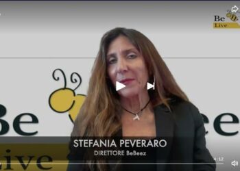 Venture capital 2024, il report di BeBeez in una pillola video