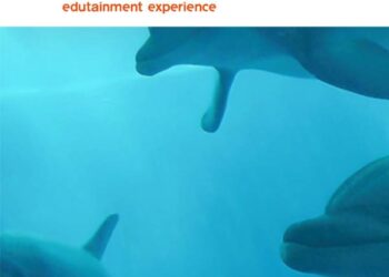 Costa Edutainment: a DeA Capital Alternative Funds il 30% tramite il fondo Flexible Capital, che investe 20 mln 