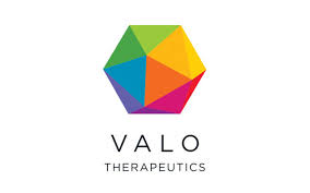 La biotech italo-finlandese Valo Therapeutics raccoglie 19 mln euro in un round guidato da CDP Venture Capital sgr e Indaco VP