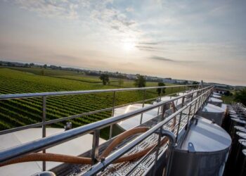 Cantine Ermes emette minibond da 5 mln sottoscritto da CDP con garanzia Archimede di SACE