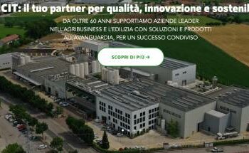 TPG in trattativa esclusiva per un’importante quota di Sicit (NB Renaissance – Intesa Holding). Accordo imminente, risulta a BeBeez