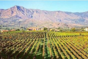 Marchesi Frescobaldi acquisisce quota di minoranza di Tenuta delle Terre Nere, si dice il 40% circa per oltre 19 mln