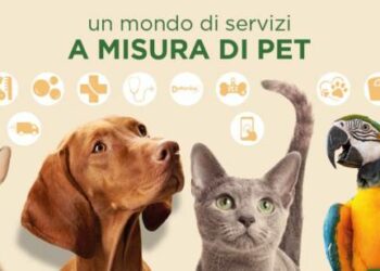 Isola dei Tesori, exit in vista per Peninsula Capital e Aziut Libera Impresa sgr. Fra i pretendenti più accreditati il gruppo portoghese Sonae
