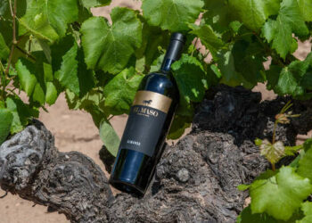 Il gruppo abruzzese Fantini Group (Platinum Equity) cresce in Spagna e acquisita la cantina Venta la Vega