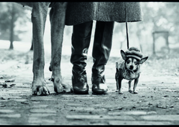 La grande mostra “Elliott Erwitt. Icons” a Roma, a Palazzo Bonaparte, sino al 21 settembre