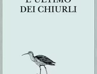 L’ultimo dei chiurli