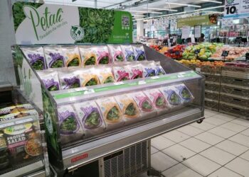 Kilometro Verde emette bond convertibile da 11,3 mln euro e si prepara all’ipo entro due anni