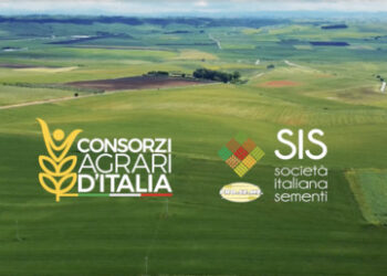 Consorzi Agrari d’Italia, ricapitalizzazione da 145 mln euro: entrano Fondo Nazionale Strategico, BF, Banca del Fucino e Quinto Giro Investimenti
