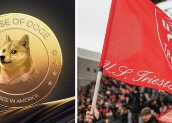 Il controllo della US Triestina Calcio ad House of Doge, big delle cripto. LBK Capital esce dal capitale
