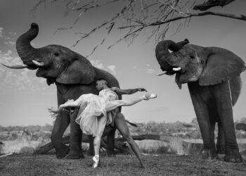 Ruggero Rosfer con “Dancing with nature” alla Fabbrica Eos di Milano fino al 6 dicembre