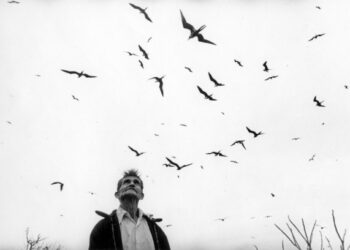 Graciela Iturbide, la più grande fotografa contemporanea, all’Università Iulm di Milano con “Il viaggio dell’anima” fino al 12 novembre