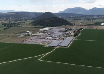 Proposta Terza di Andrea Benetton sottoscrive prestito obbligazionario da 5mln per High Quality Food, con possibile conversione in azioni