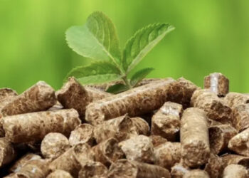 Ravano Power acquisisce il 100% di Aemmegi Società Agricola (produzione di energia da biomasse)