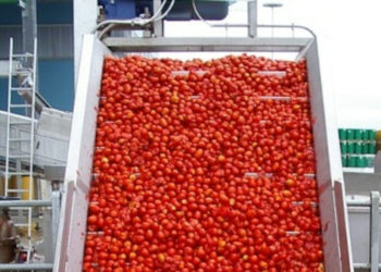 Solana acquisisce Desco e costruisce un polo industriale del pomodoro tra Lombardia e Lazio