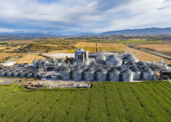 Cereal Docks cresce nel mais food: acquisito il 70% della spagnola Quality Corn