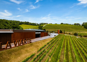 La Viarte rilancia la storica cantina dei Colli Orientali con 8,5 milioni di investimenti e punta sull’export
