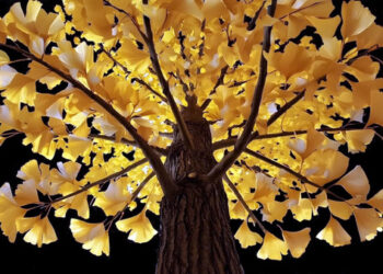 L’installazione “Vanishing Trees” dell’artista italo-brasiliana Debora Hirsch sul ledwall di Palazzo Citterio a Milano dal 15 gennaio al 15 aprile