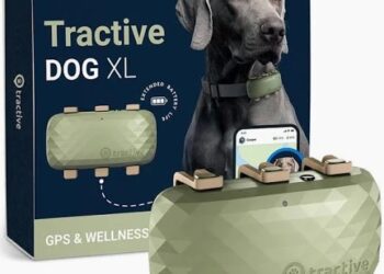Bending Spoons si compra Tractive, la scaleup austriaca leader nel tracciamento della posizione degli animali domestici