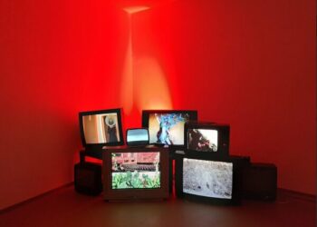All’Istituto Italiano di Cultura di Berlino è in corso sino al 15 aprile la mostra “Video-Vitality”