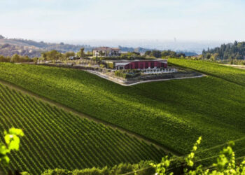 Palazzo di Varignana accelera sul vino e presenta a Vinitaly la nuova fase del progetto enologico