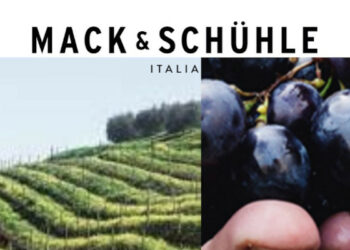 Mack & Schühle Italia accelera su due fronti: più regioni per Genevitis e vini No-Lo made in Italy