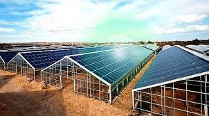 Il Gruppo Regran ottiene 6,2 mln da UniCredit per la costruzione di un impianto agrivoltaico in provincia di Ragusa