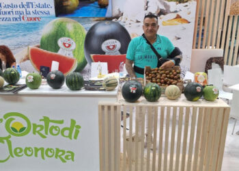 Agricola Campidanese accelera sull’innovazione di prodotto e sulle partnership europee